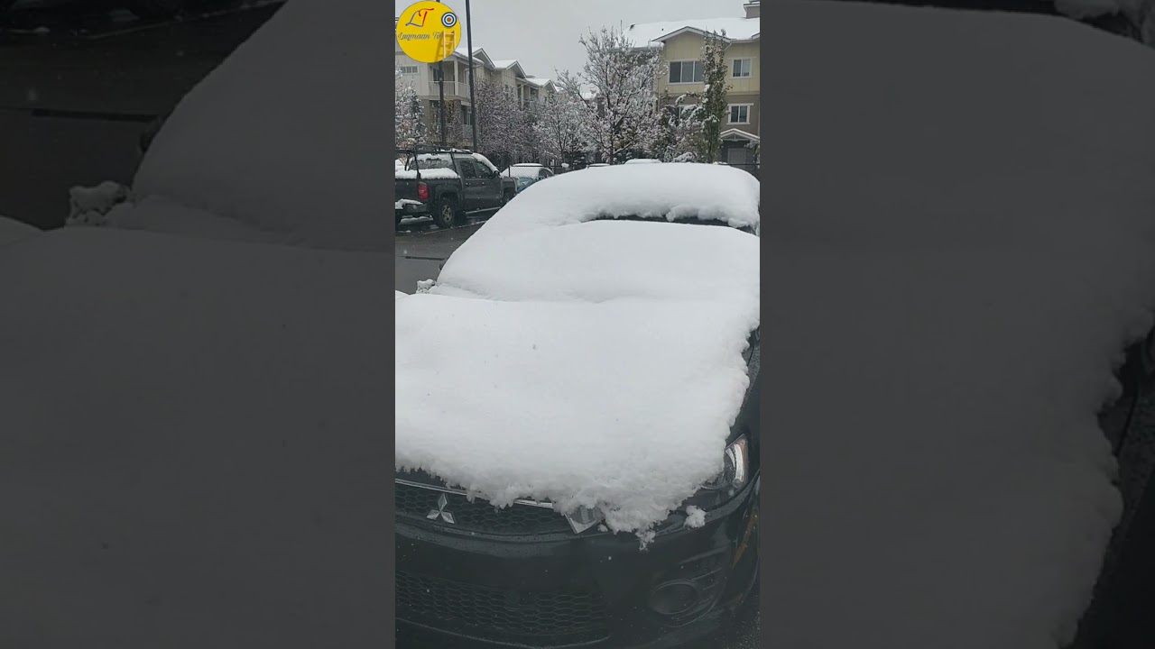 Kids Playing In The Snow | First snow In Calgary | Fun In Snow