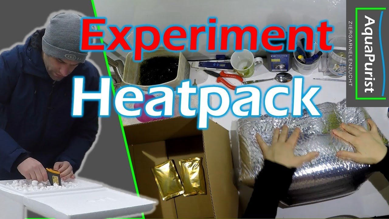 Experiment: Tierversand im Winter (Heatpack und Verpackung)