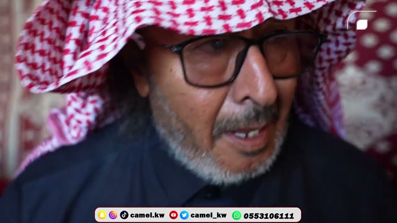 مخيم الشيخ خالد بن حثلين من مزاد الشرقية للابل بالصرار
