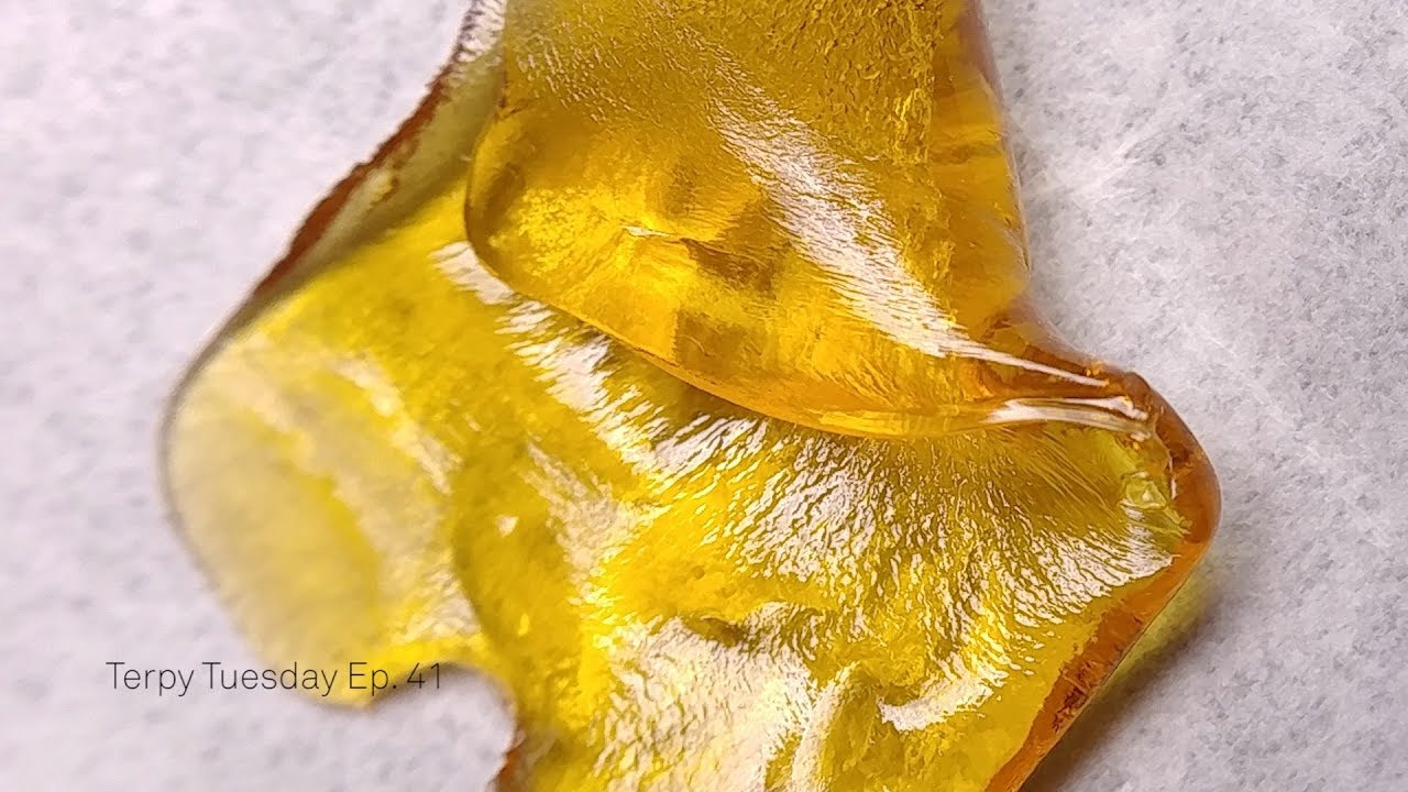Moxie Extracts Trainwreck: Terpy Tuesday Ep. 41