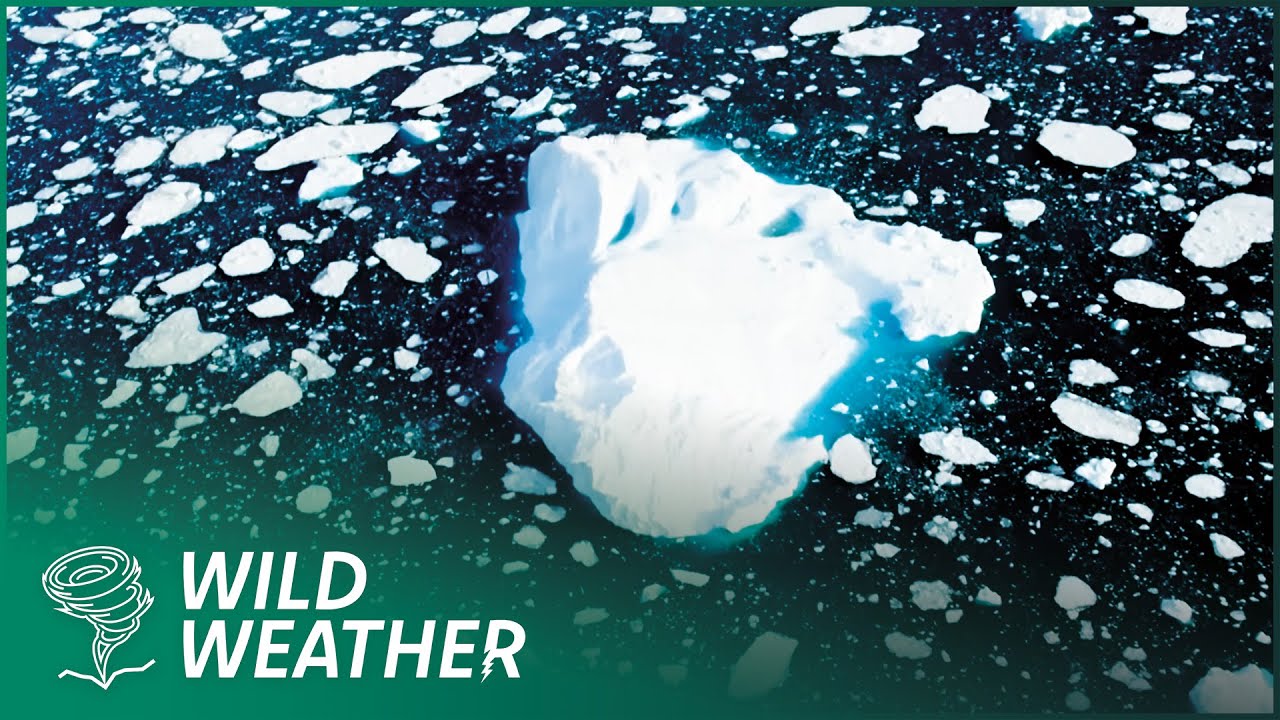 ICEBERGS: Climate's Ultimate Warning Signal