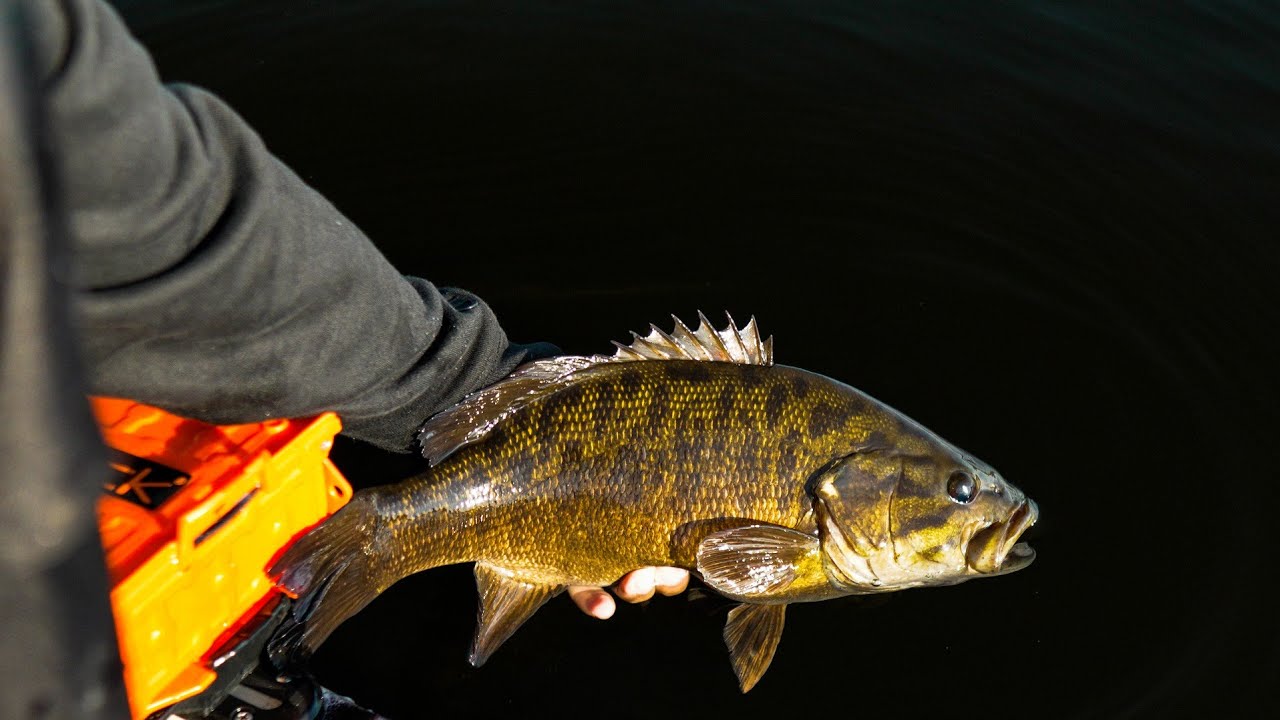 Kayak Fishing on Steroids - Big Fall Smallmouth