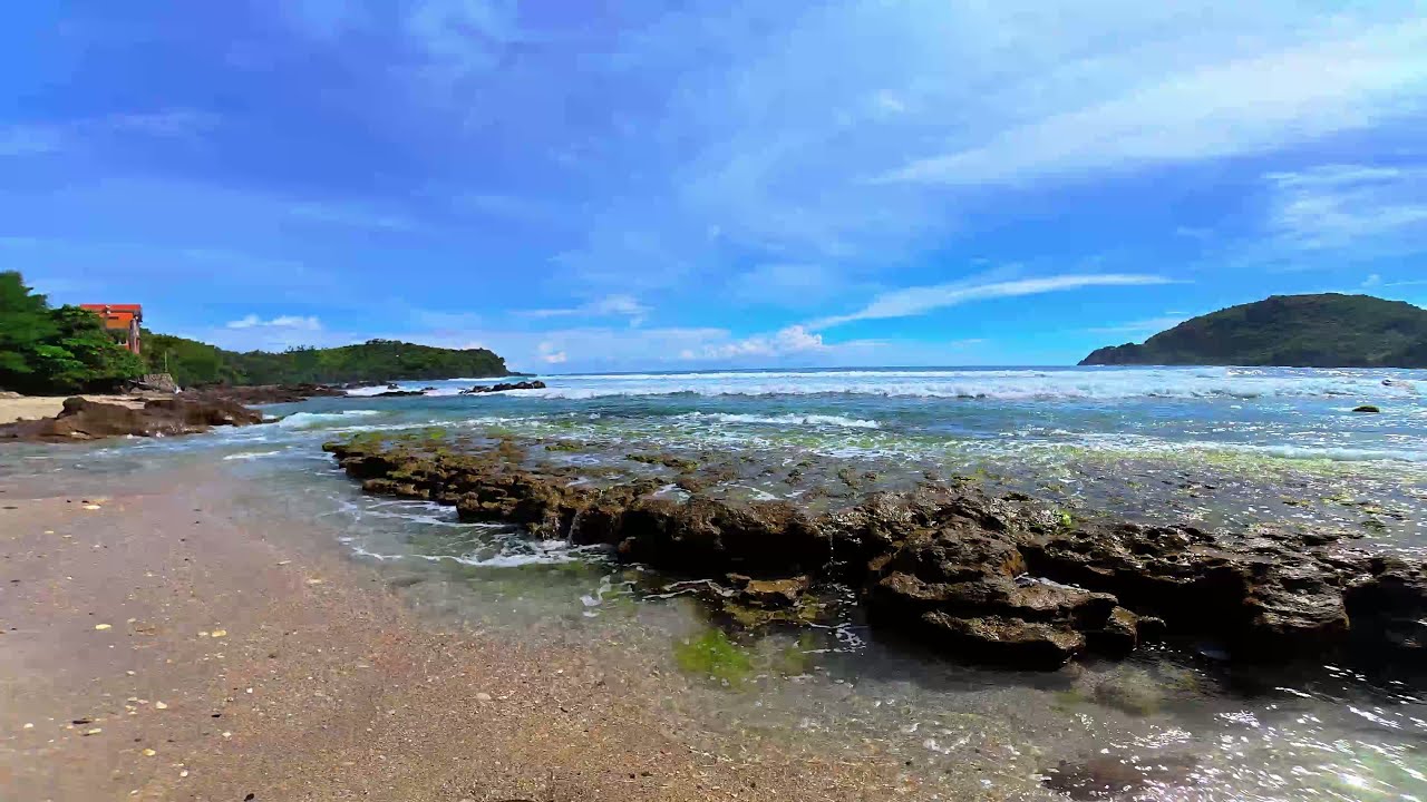 Wave Therapy: Pure Ocean Sounds for Mental Clarity & Rest