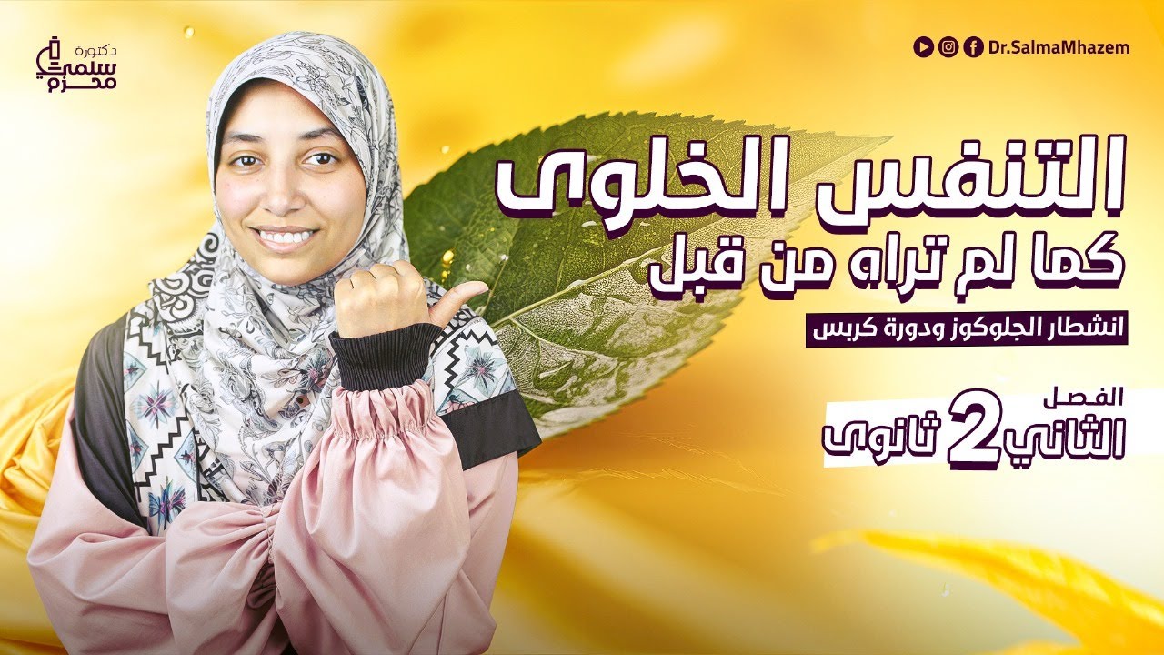 واخيرا شرح التنفس الخلوى بكل افكار الاسئلة تانية ثانوي 🤩💝| انشطار الجلوكوز ودورة كربس مع دكتورة سلمى