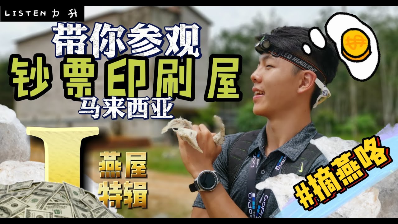 燕屋特辑 1（马来西亚燕屋）摘燕窝咯喂~