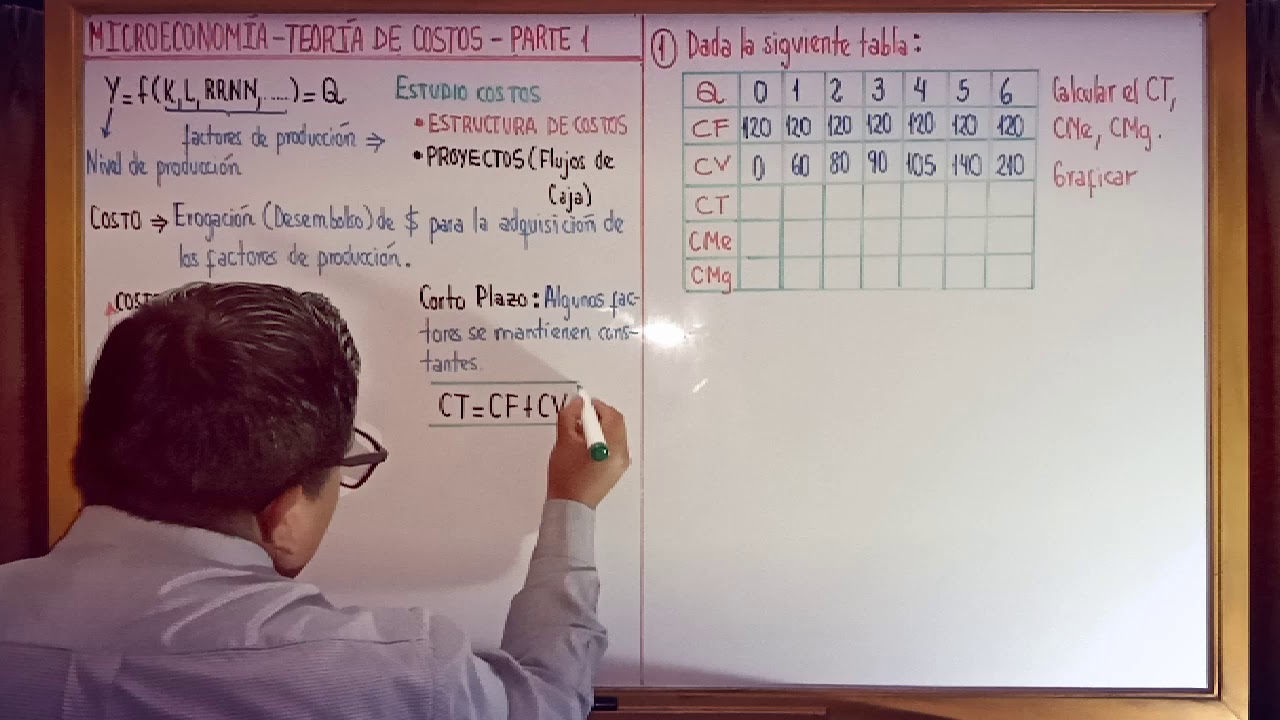 MICROECONOMÍA TEORÍA DE COSTOS PARTE 1 VIDEO 1 DE 2