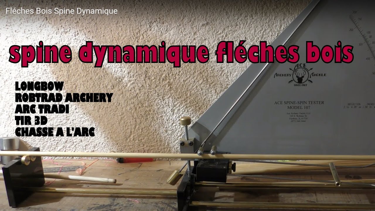 Fléches Bois Spine Dynamique ★ Placement de l'Encoche ★ Longbow ★ Chasse A L' Arc ★ROBTRAD ARCHERY
