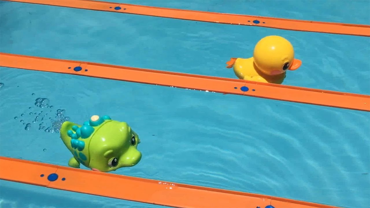 JACARÉ ROBÔ VS PATO ROBÔ NA PISCINA. QUEM VENCE?!