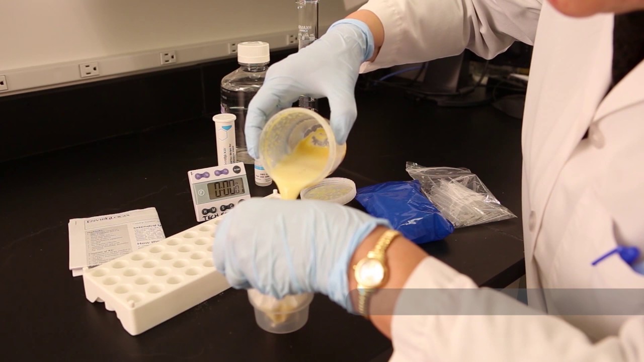 TREINAMENTO | MICOTOXINAS | Aflatoxina Free