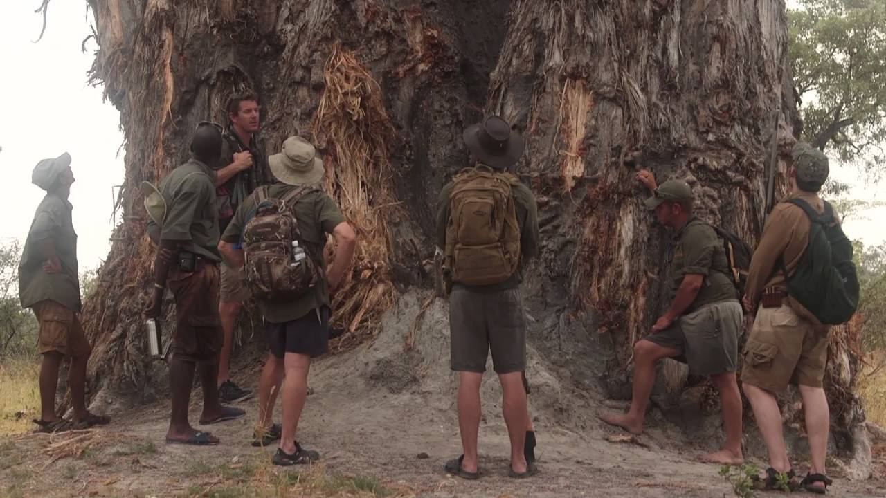 Safari Guide Training in the Okavango Delta