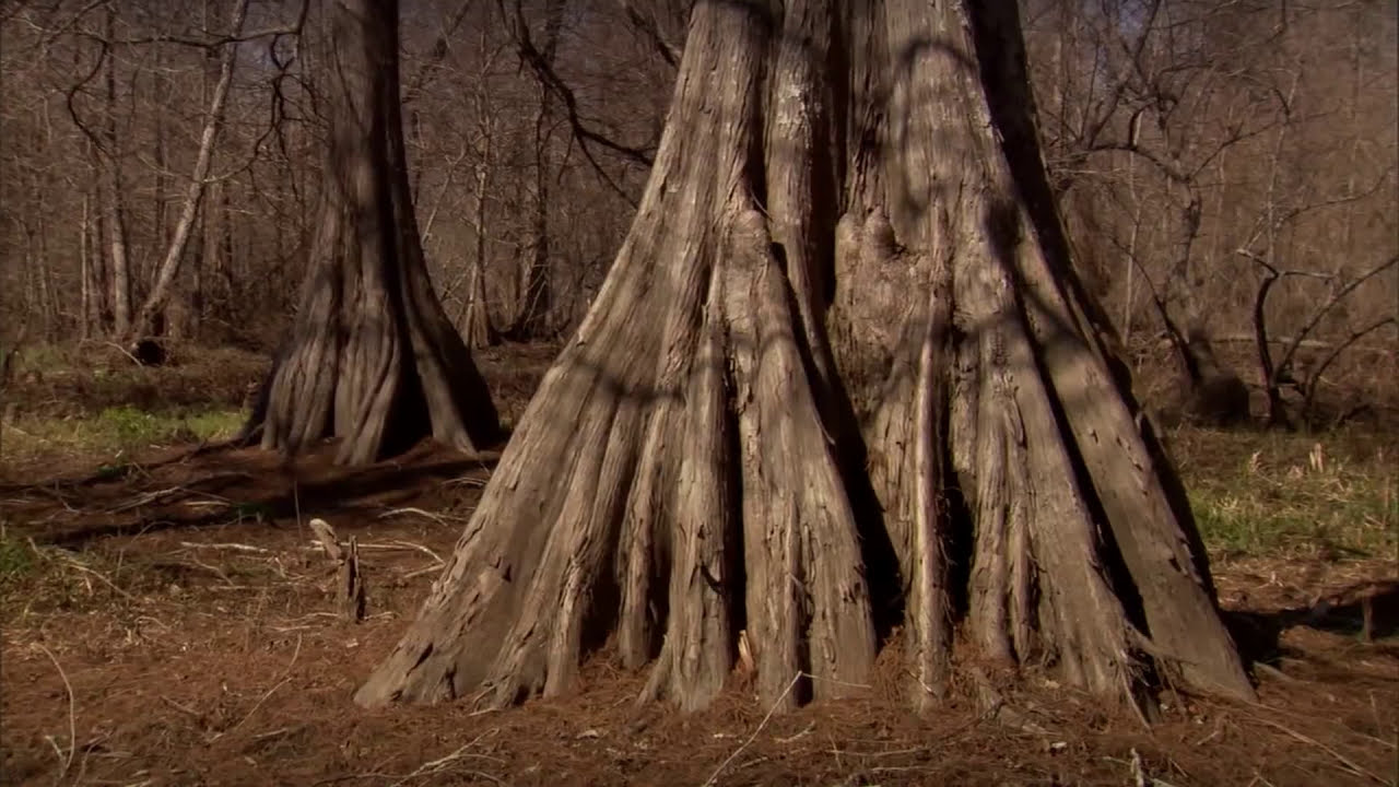 Atchafalaya National Heritage Area - Intro Video - English