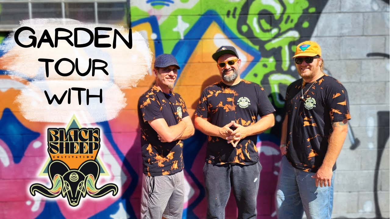 Black Sheep Cultivation - Living Soil Garden Tour