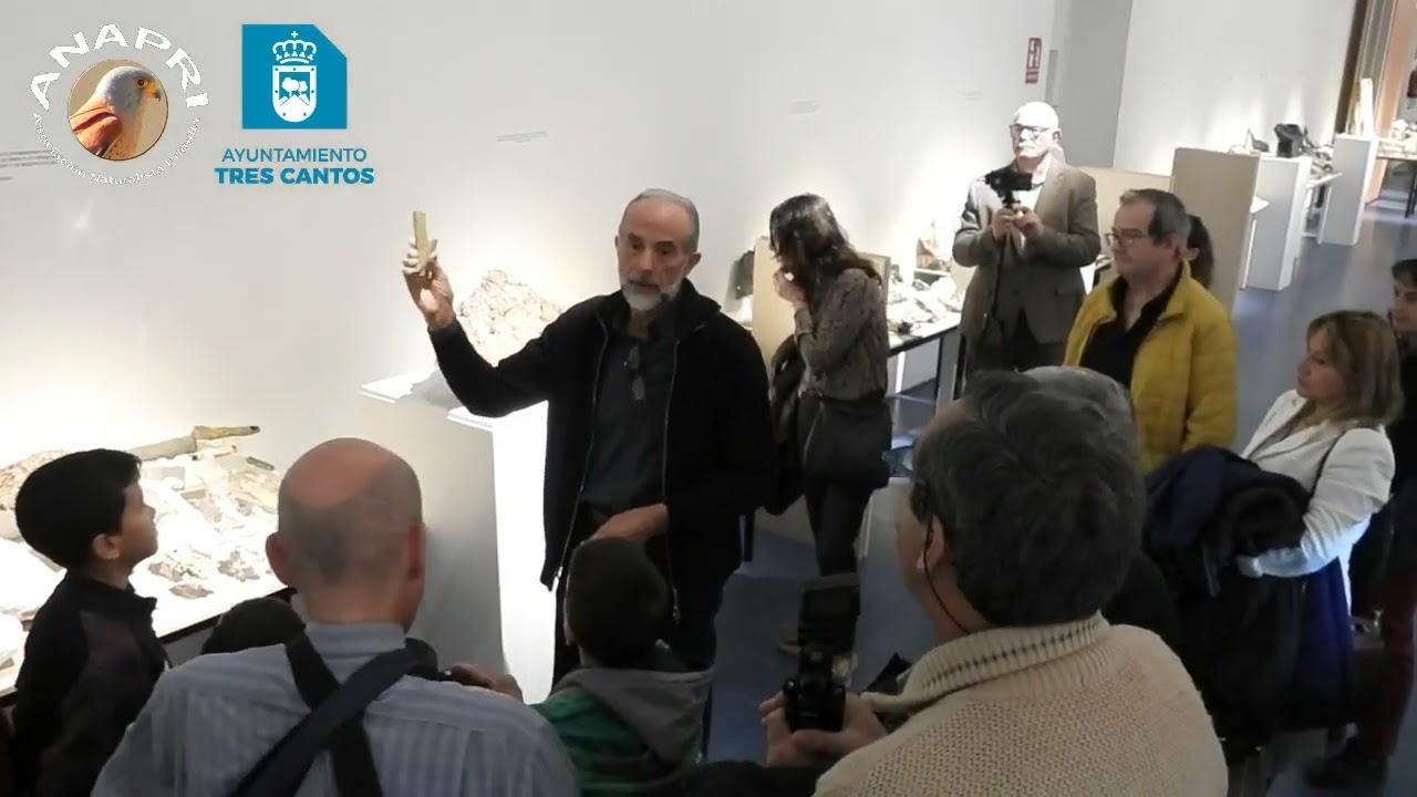 Ciencias de la tierra: la gran diversidad geológica. Zona1