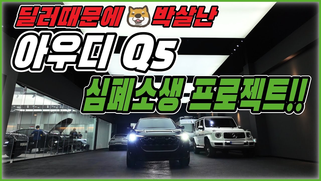 딜러표 임판샵 신차패키지로 처참하게 망가진 아우디 Q5 심폐소생 프로젝트 ep1.