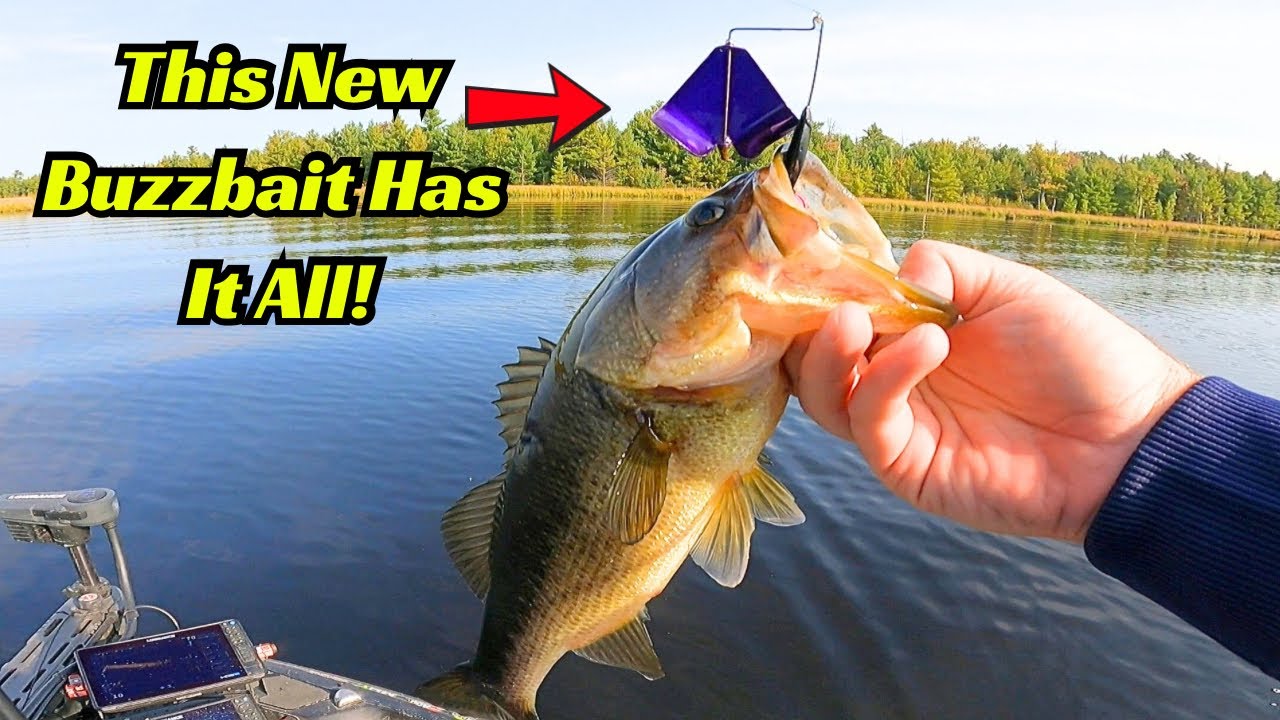 This New Buzzbait Has It All And Gets Slurped Up!