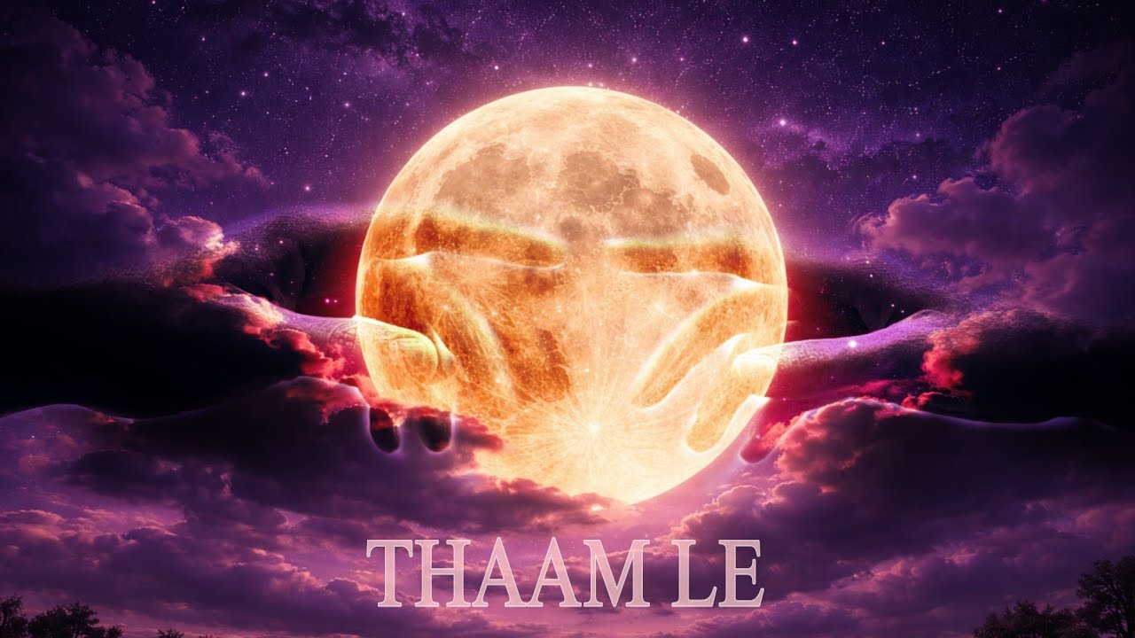 𝐕-𝐂𝐀𝐒𝐄 - THAAM LE [Hold Me] || Official Visualizer|| Love Song 🫶