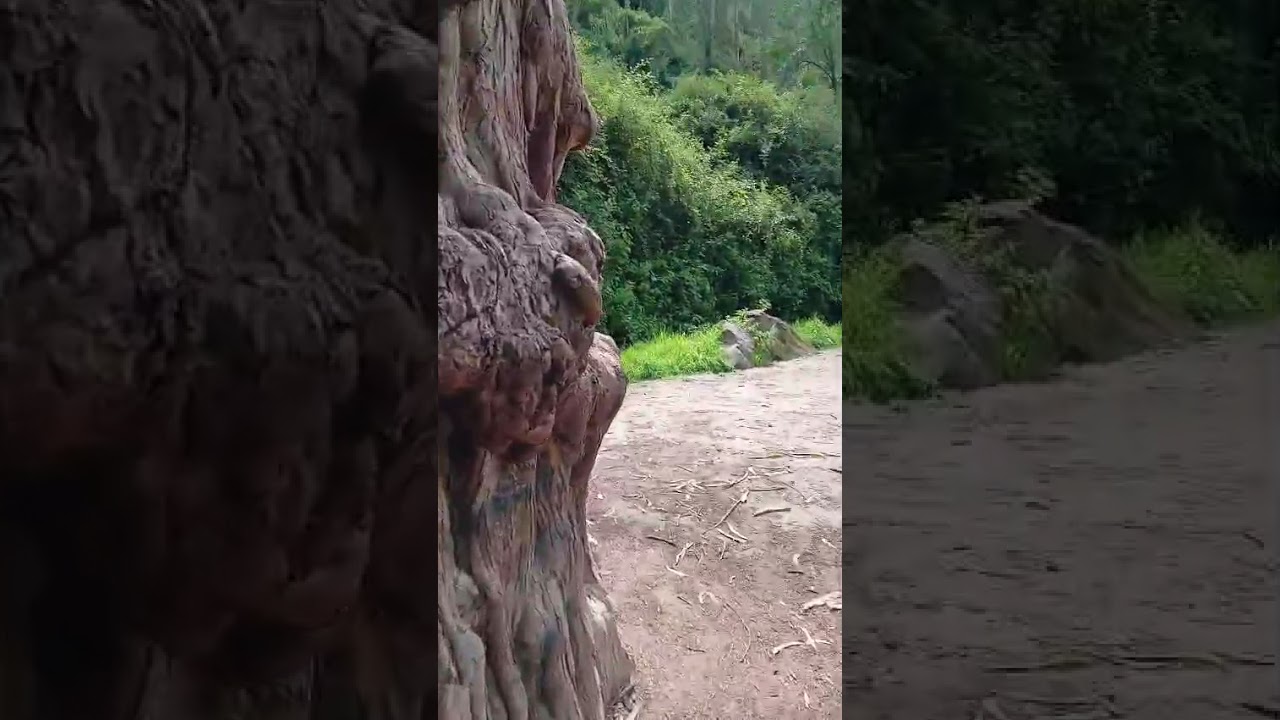 Hermoso paraje cerca de las cascadas de Peguche En Otavalo Ecuador....