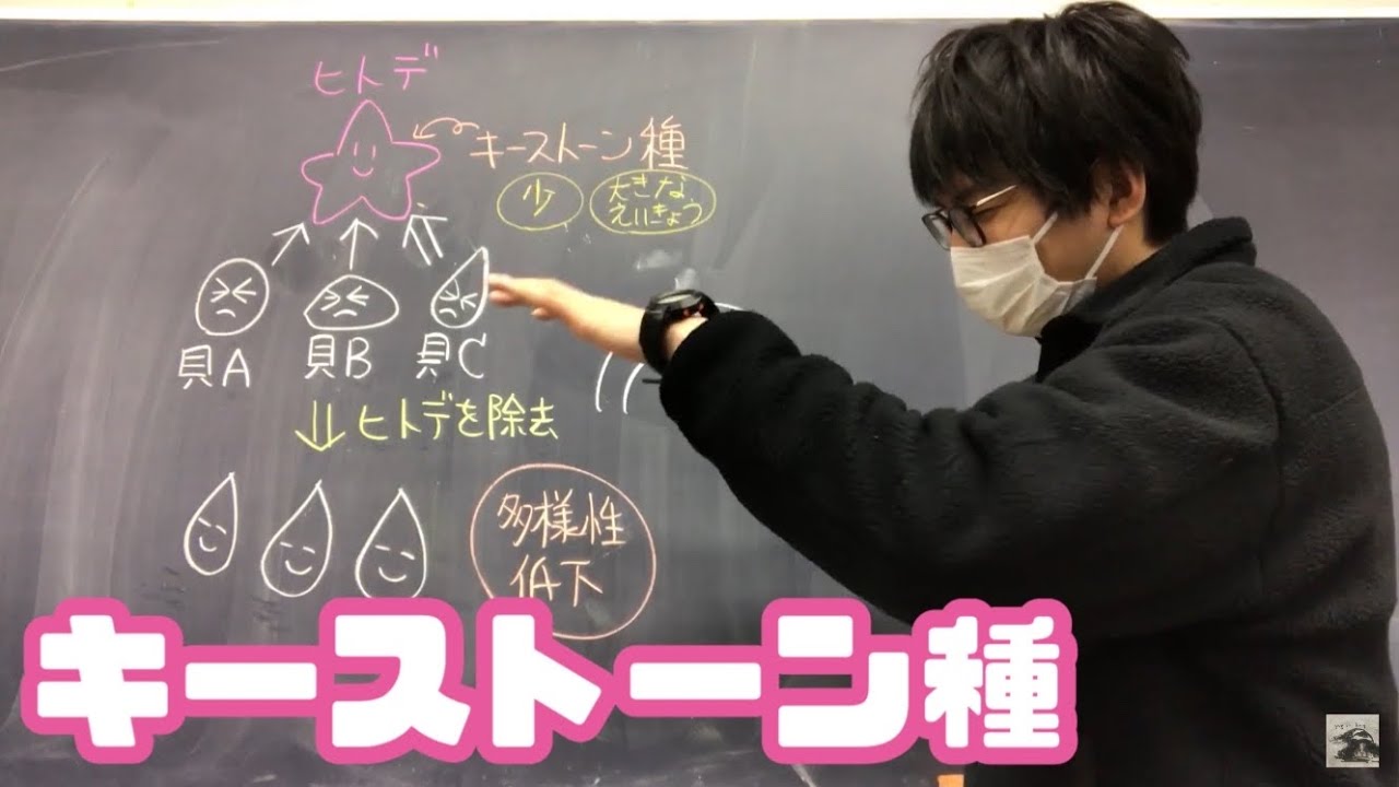 キーストーン種　高校生物基礎