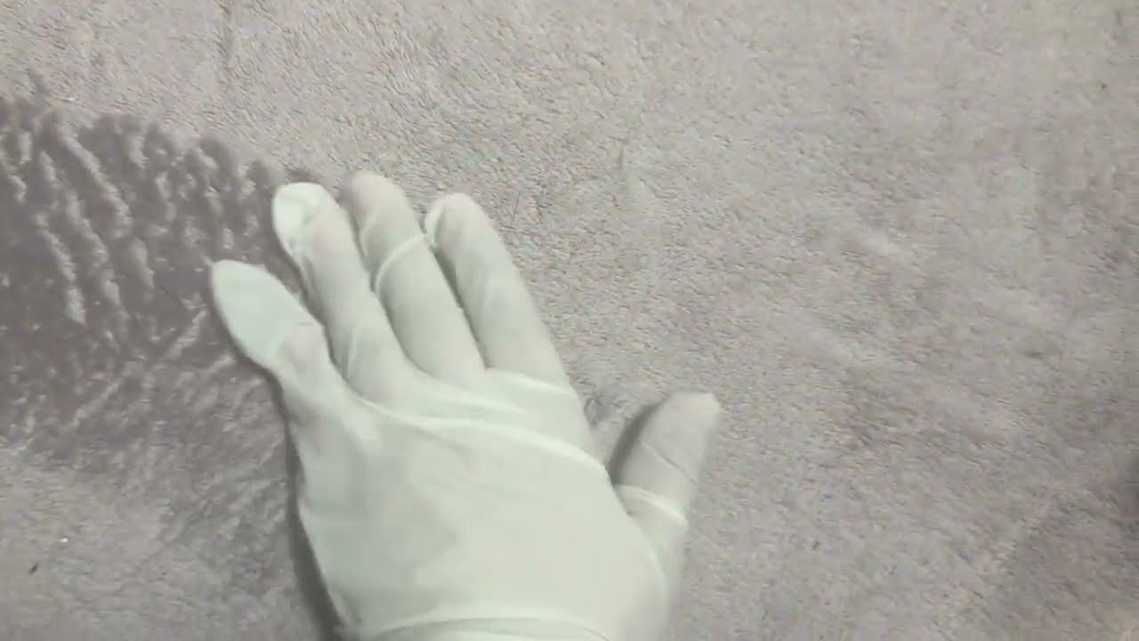 天然ゴム手袋と猫とカーペット　Natural rubber gloves, cat and carpet　#326