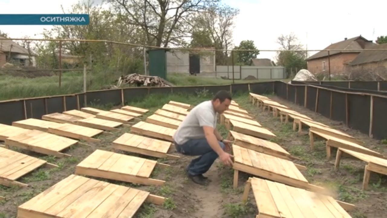 Як розводять равликів на Кіровоградщині | телеканал Вітер