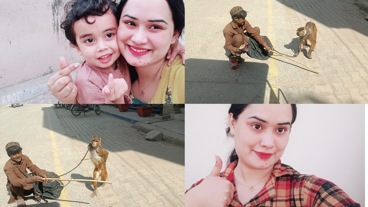 Aj hum ny dekha Bandar ka tamasha |Haider k liya shopping ki | daily vlogs hafsa zaman 2.0|