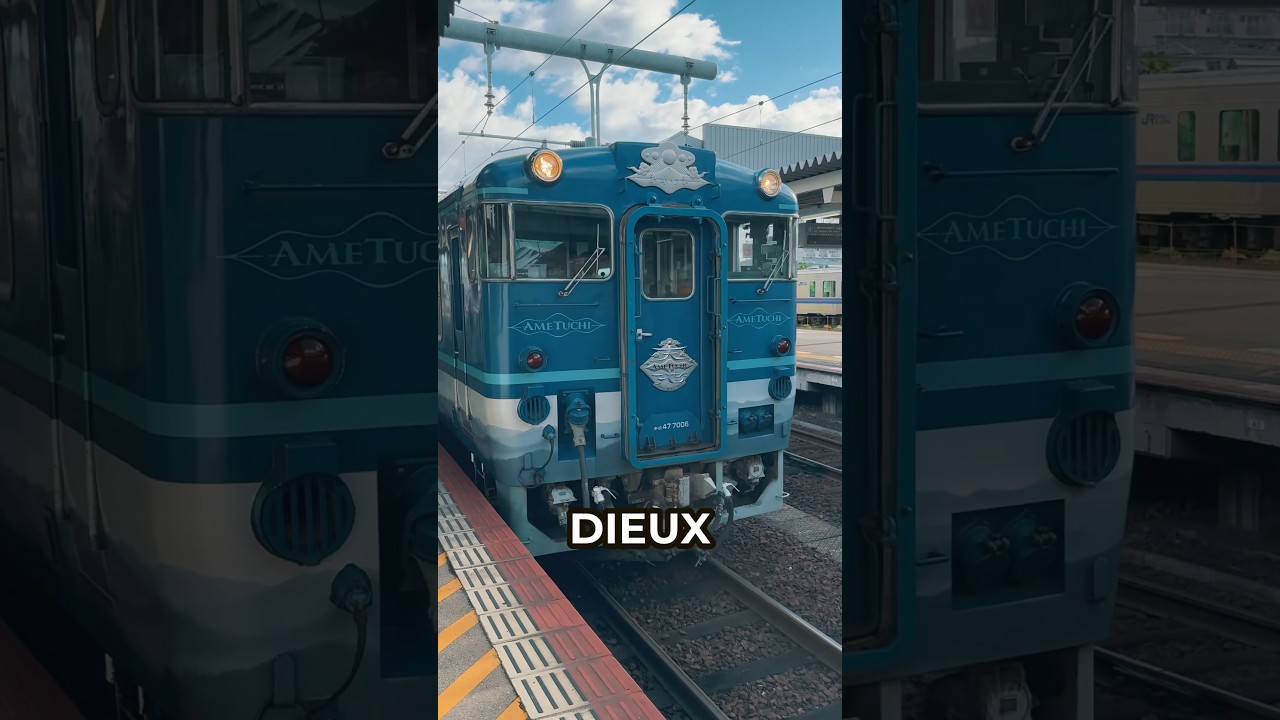 🇯🇵 le train des dieux japonai #japon #train #anime #jrpass #ghibli