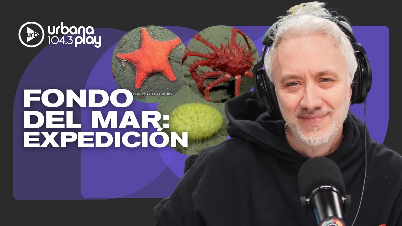 Furor por los hallazgos de la EXPEDICIÓN AL FONDO DEL MAR en Mar del Plata #Perros2025