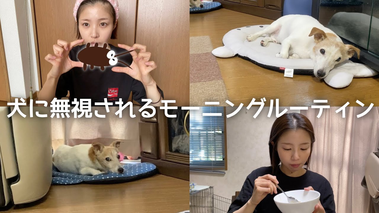 【GRWM】実家なのに犬にも誰にも見送られない寂しい出勤