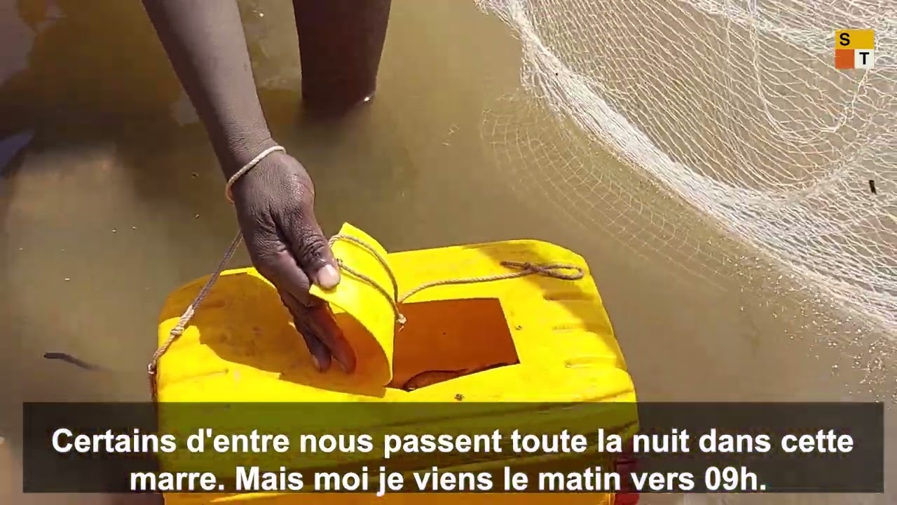 La pêche, de plus en plus difficile à Yelimané