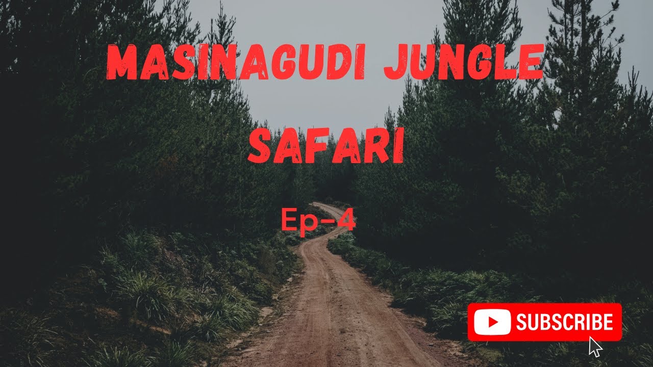 மசினகுடி காட்டு பயணம்|மரண பயத்தை காட்டிய காட்டு யானை சத்தியமங்கலம்|Elephant Spotted on Road! முதுமலை