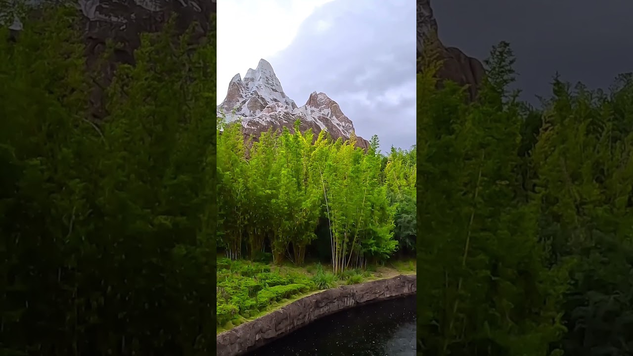Expedition Everest Legend of the Forbidden Mountain 🏔️ Disney's Animal Kingdom 
