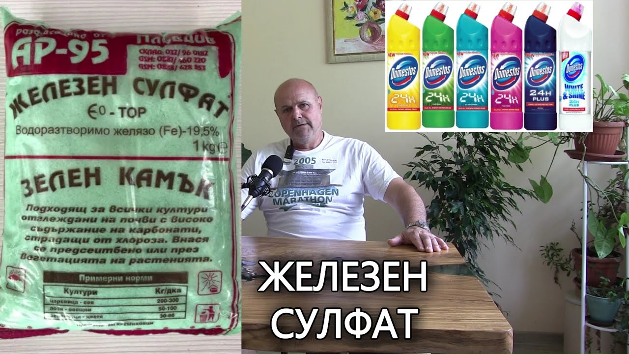 Кои са най-важните препарати за агрозащита?Предпазване от бактериални и гъбни заболявания по домата.