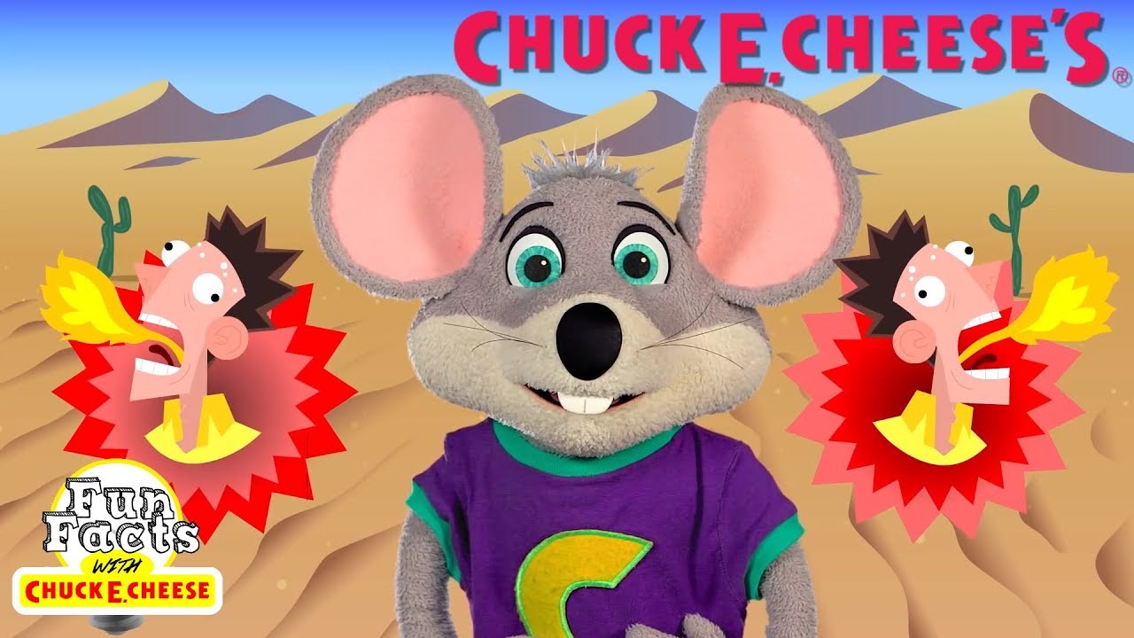 Over 20 minutes of Fun Facts! | All Fun Facts with Chuck E. Cheese Episodes