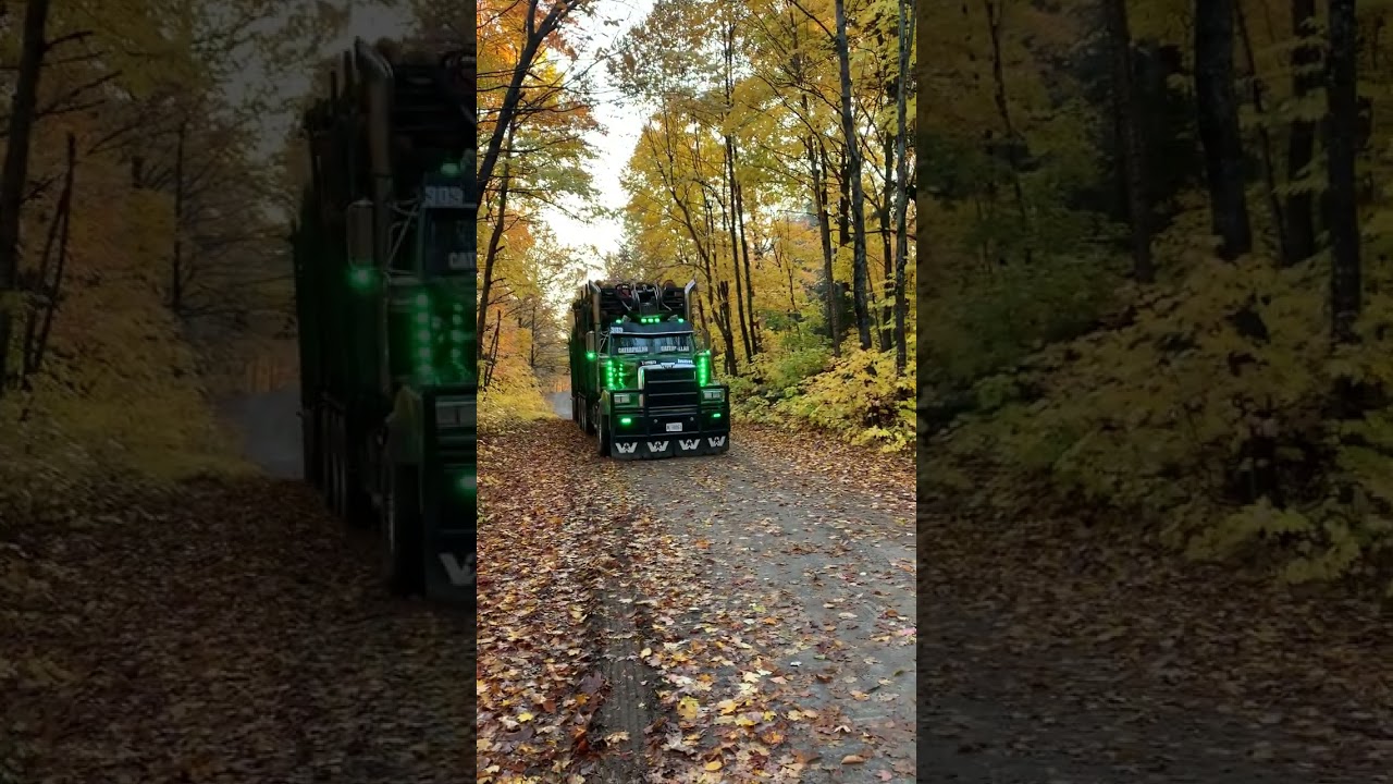Custom Western Star Truck With Serco Log Loader!