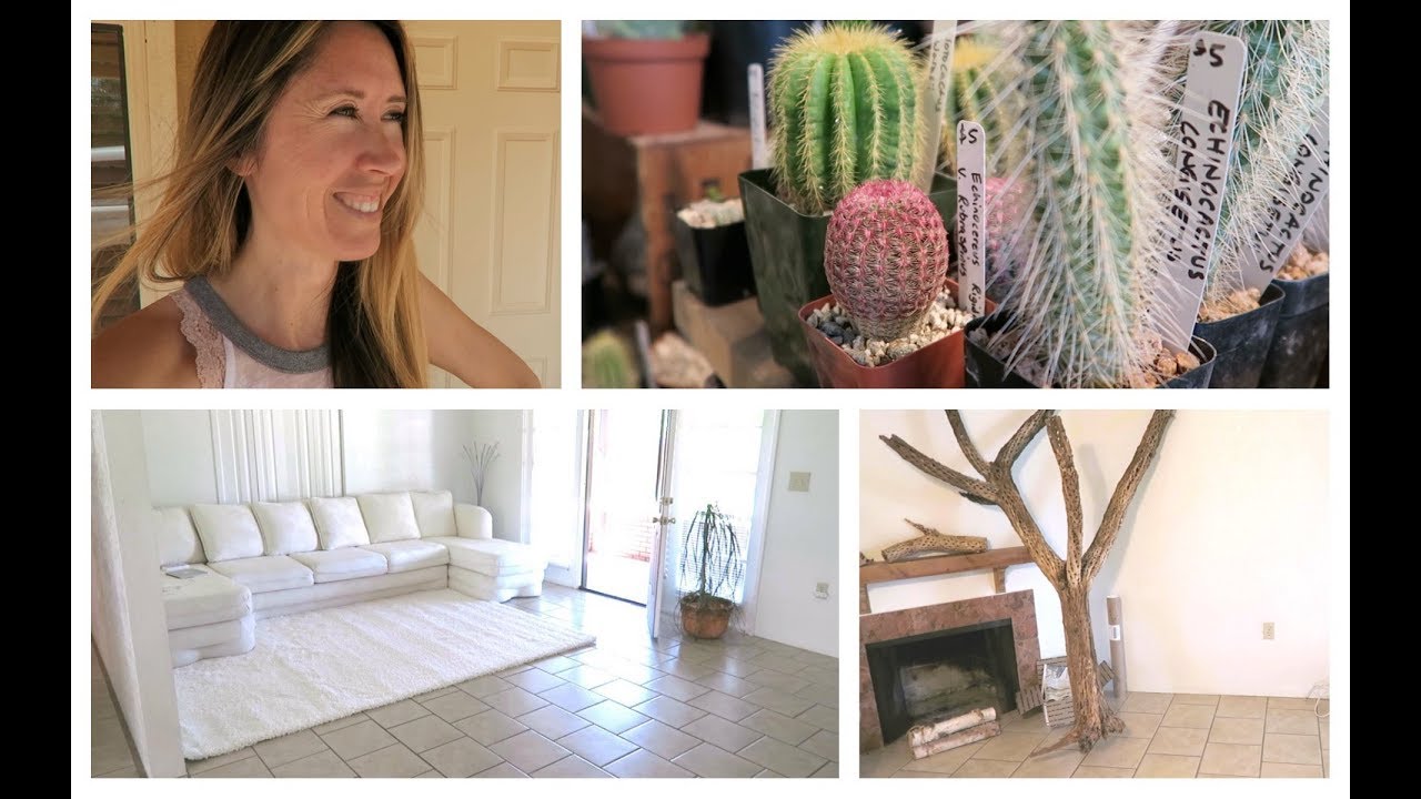 Desert Plants & Home Decor Planning Begins