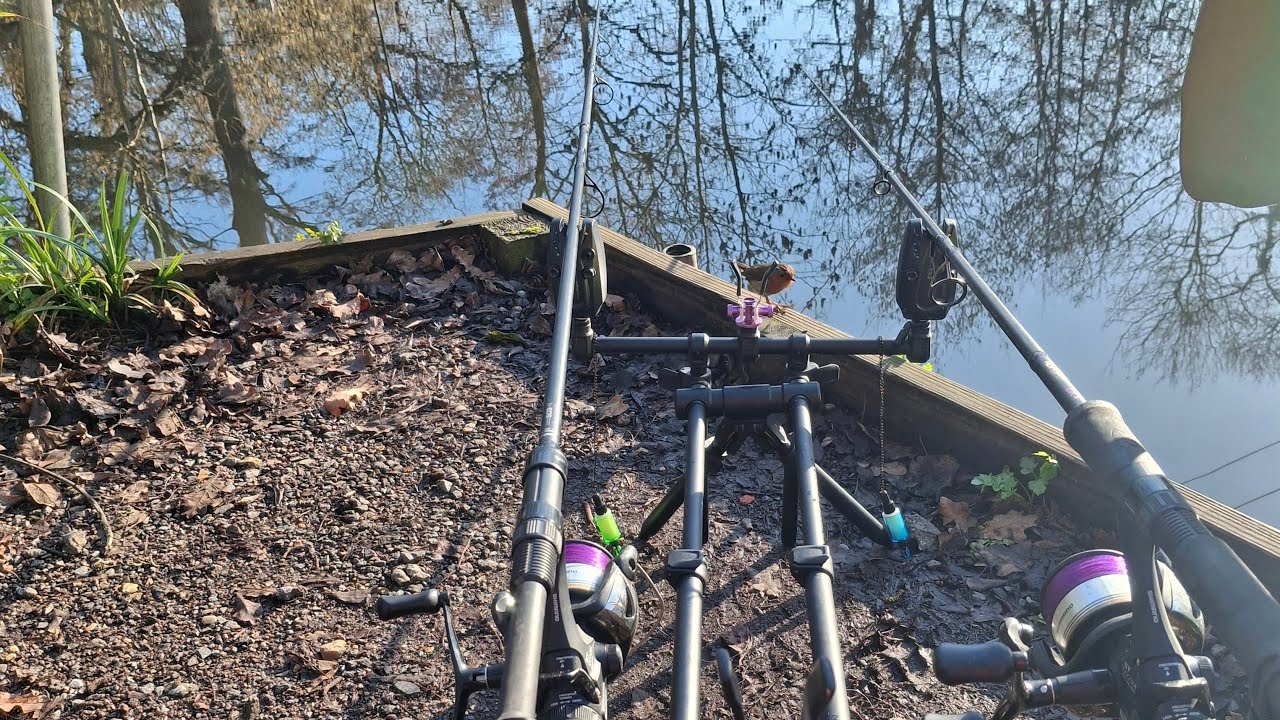 carp fishing