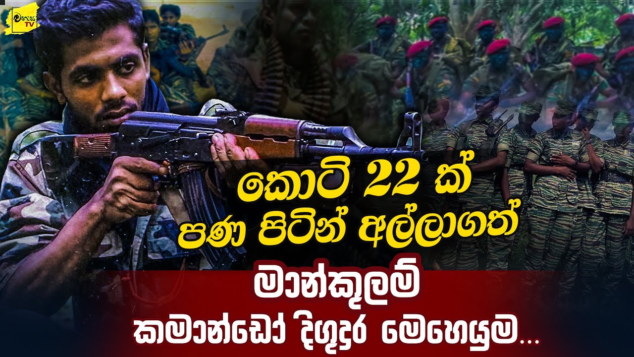 කොටි 22ක් පණ පිටින් අල්ලාගත් කමාන්ඩෝ දිගුදුර මෙහෙයුම @wanesatv