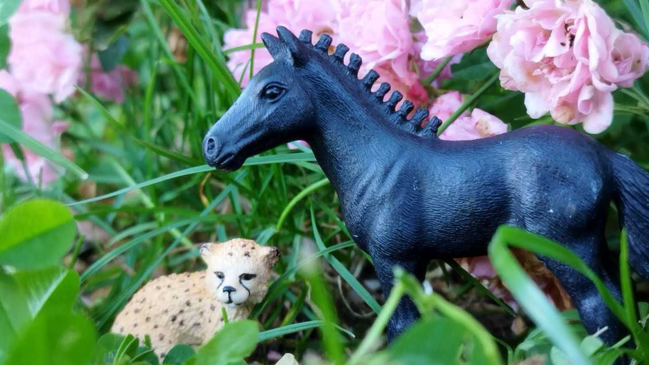 Une amitié impensable [HISTOIRE SCHLEICH]