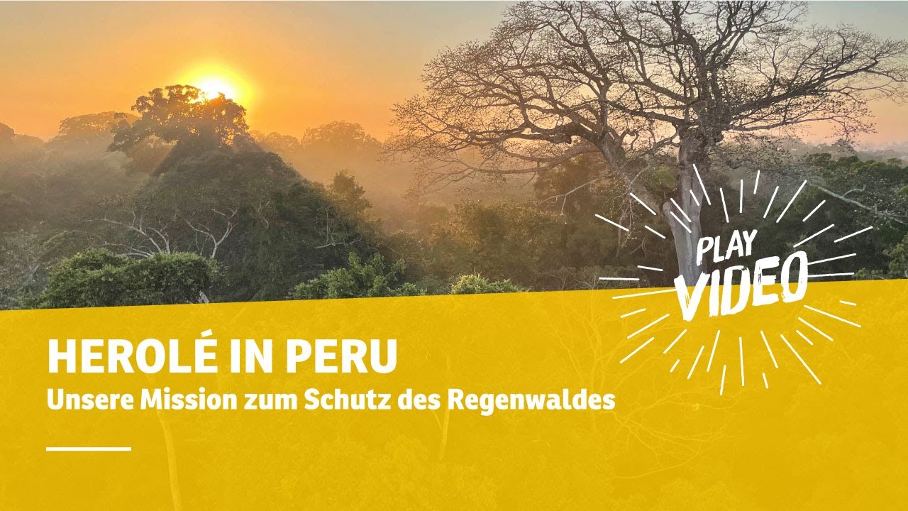 HEROL&Eacute; in Peru: Unsere Mission zum Schutz des Regenwaldes | HEROL&Eacute; Klassenfahrten