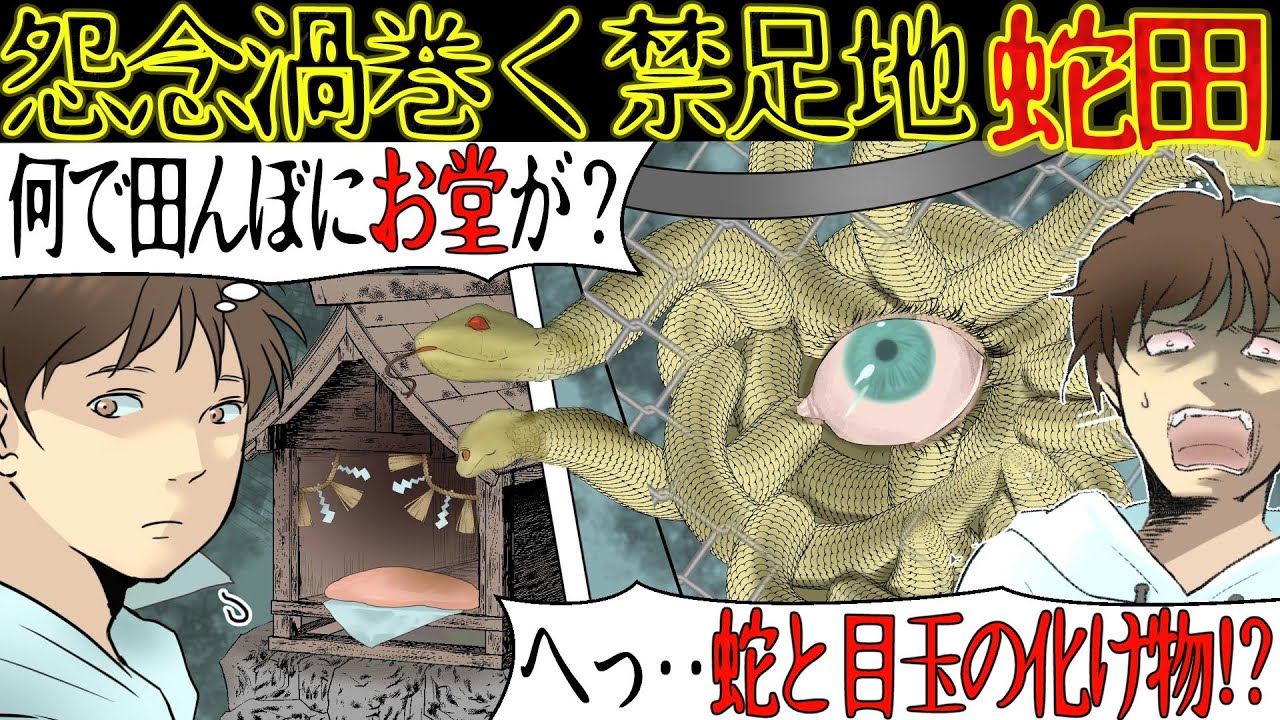 【洒落にならない怖い話】地元には曰く付きの土地『蛇田』があったが、その上にスーパーが建設された。ある日、買い物に行くと不気味な『目玉のついた蛇の塊』が現れ・・【漫画動画】
