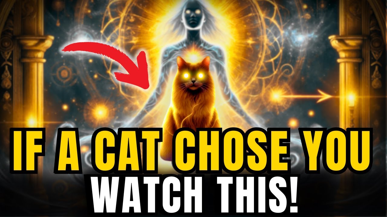 🐱 If a Cat Chose You, You Might Be a CHOSEN ONE – The Hidden Truth Will Shock You!
