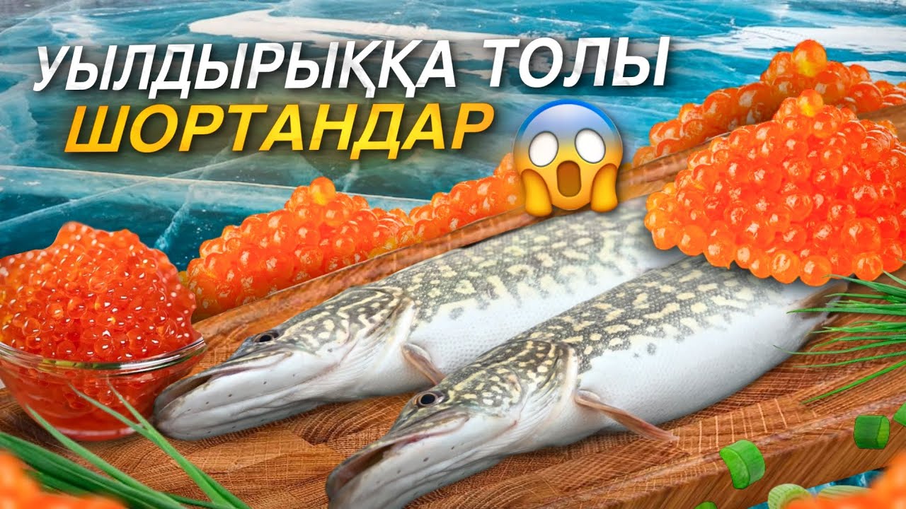 ШОРТАНДАР УЫЛДЫРЫҚТЫ БОЛЫП ШЫҚТЫ. Қара жолда көлігіміз бұзылды😱 ҚОЯН ЕТІНЕН БОТҚА