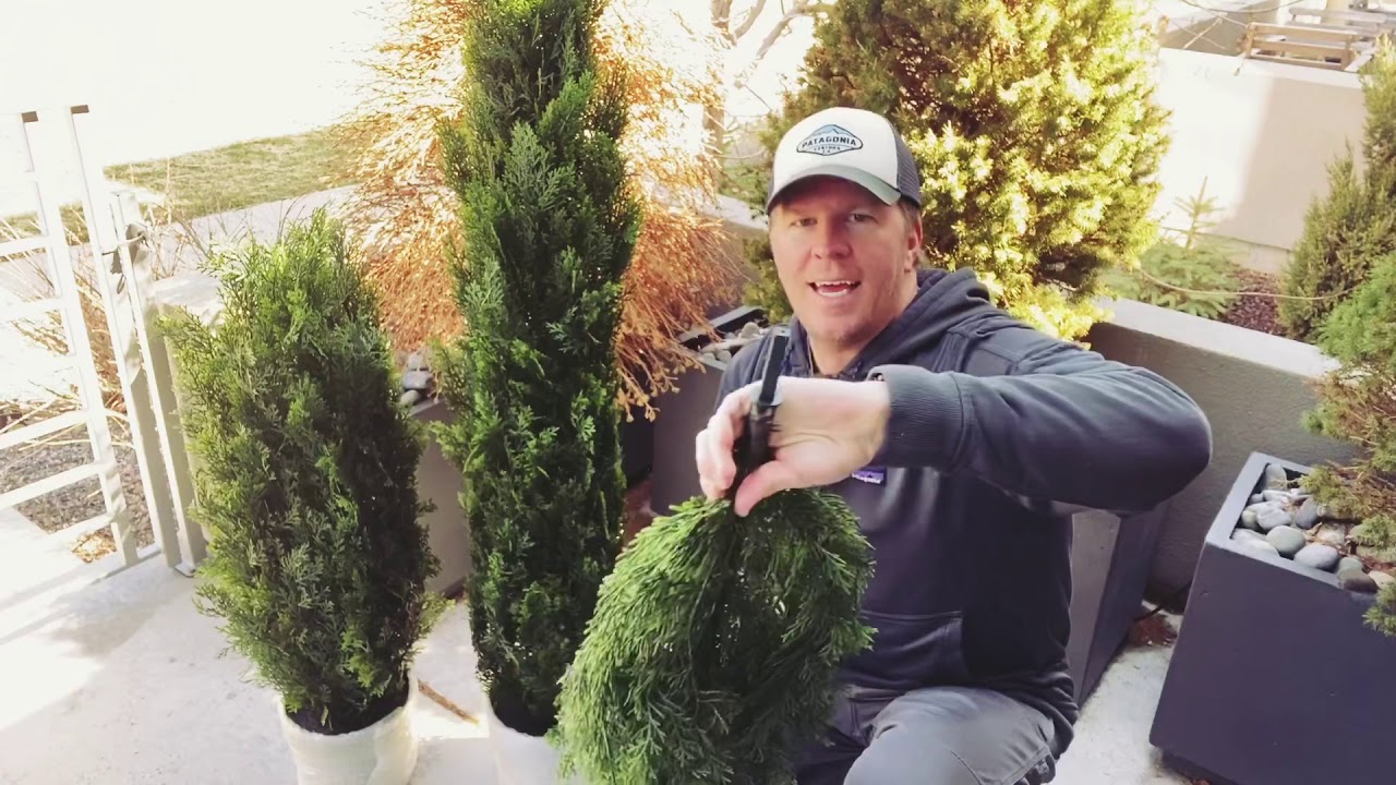 How to plant faux (fake) trees in a planter