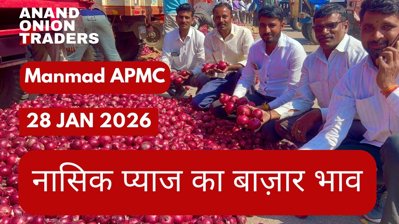 Nashik APMC Onion Today Rate | Red Onion Wholesale Price | Live Market 28 January 2026
