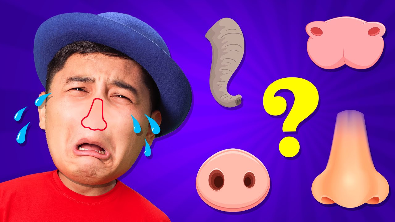 Where Is My Nose? | Tigi Boo Kids Songs