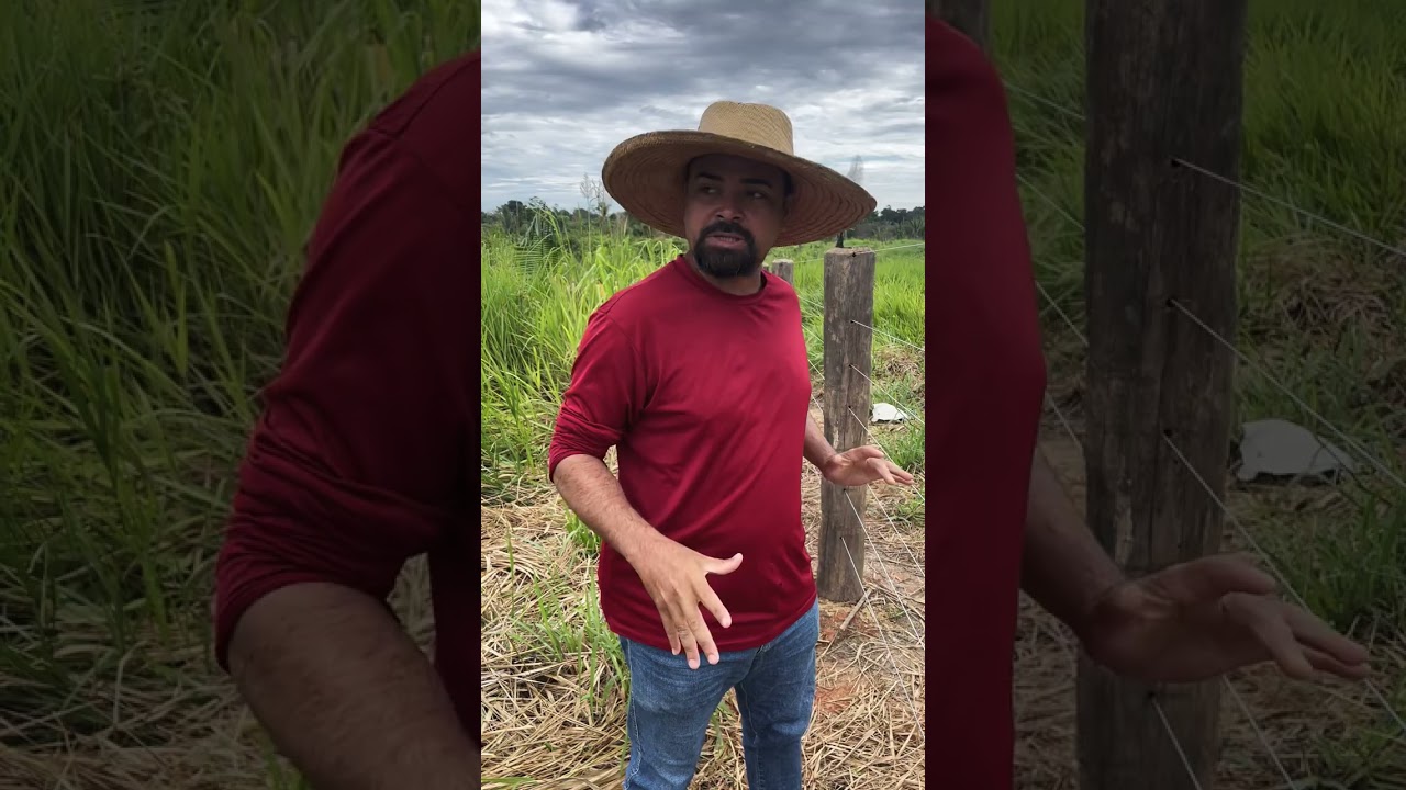 Amizade amizade e negócio é negócio