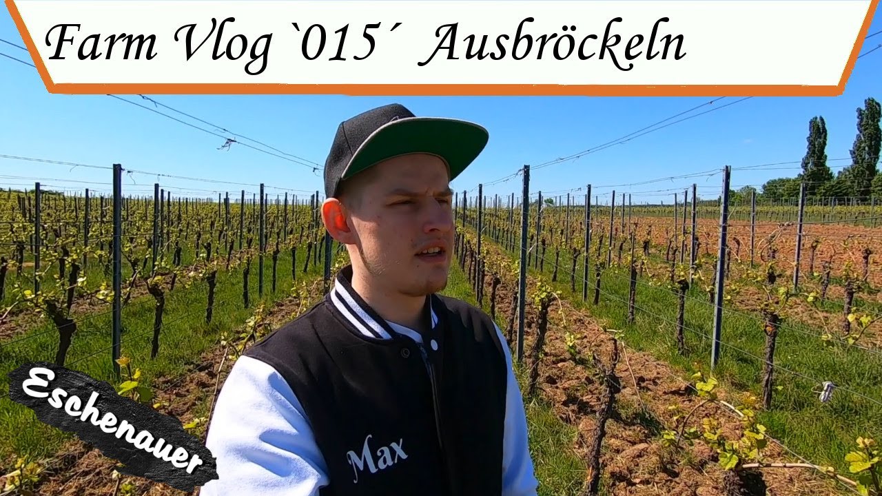 Farm Vlog `015´ - Ausbröckeln am Stock - [Eschenauer]