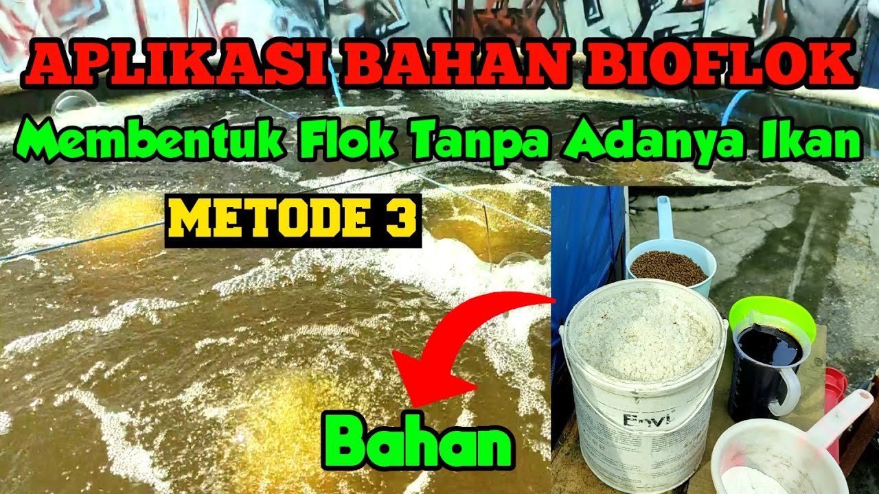 Aplikasi Bahan Bioflok Membentuk Flok Tanpa Ada Ikan