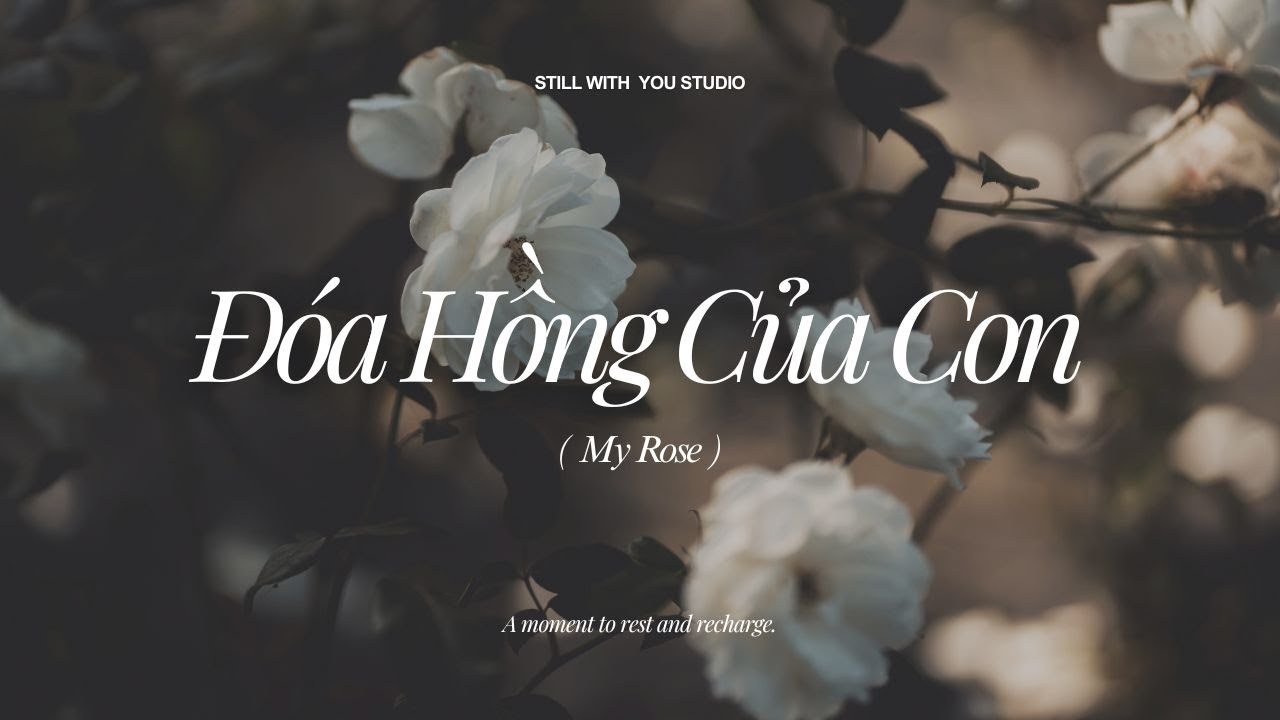 Đóa Hồng Của Con (My Rose) - Version No. 3
