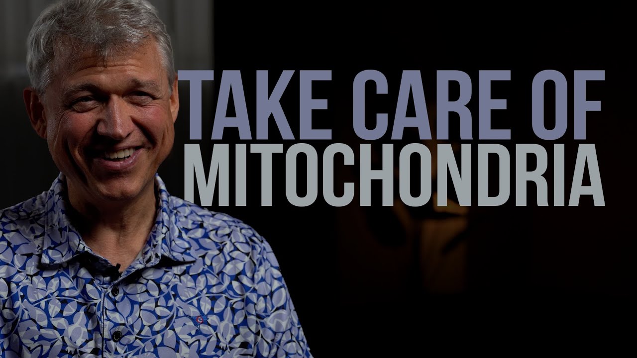 Warburg Effect as it relates to a Vegan Diet with Dr Lowndes